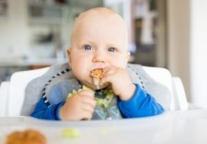 baby-led-feeding-different-from-baby-led-weaning-1280x960.jpg