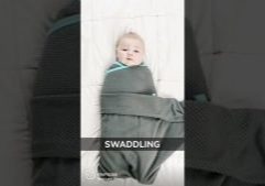 maxresdefault.jpg